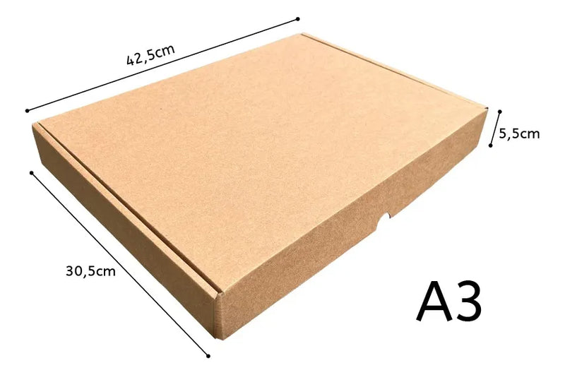 10 Caixas De Papelão - Tamanho A3 - 42,5x30,5x5,5